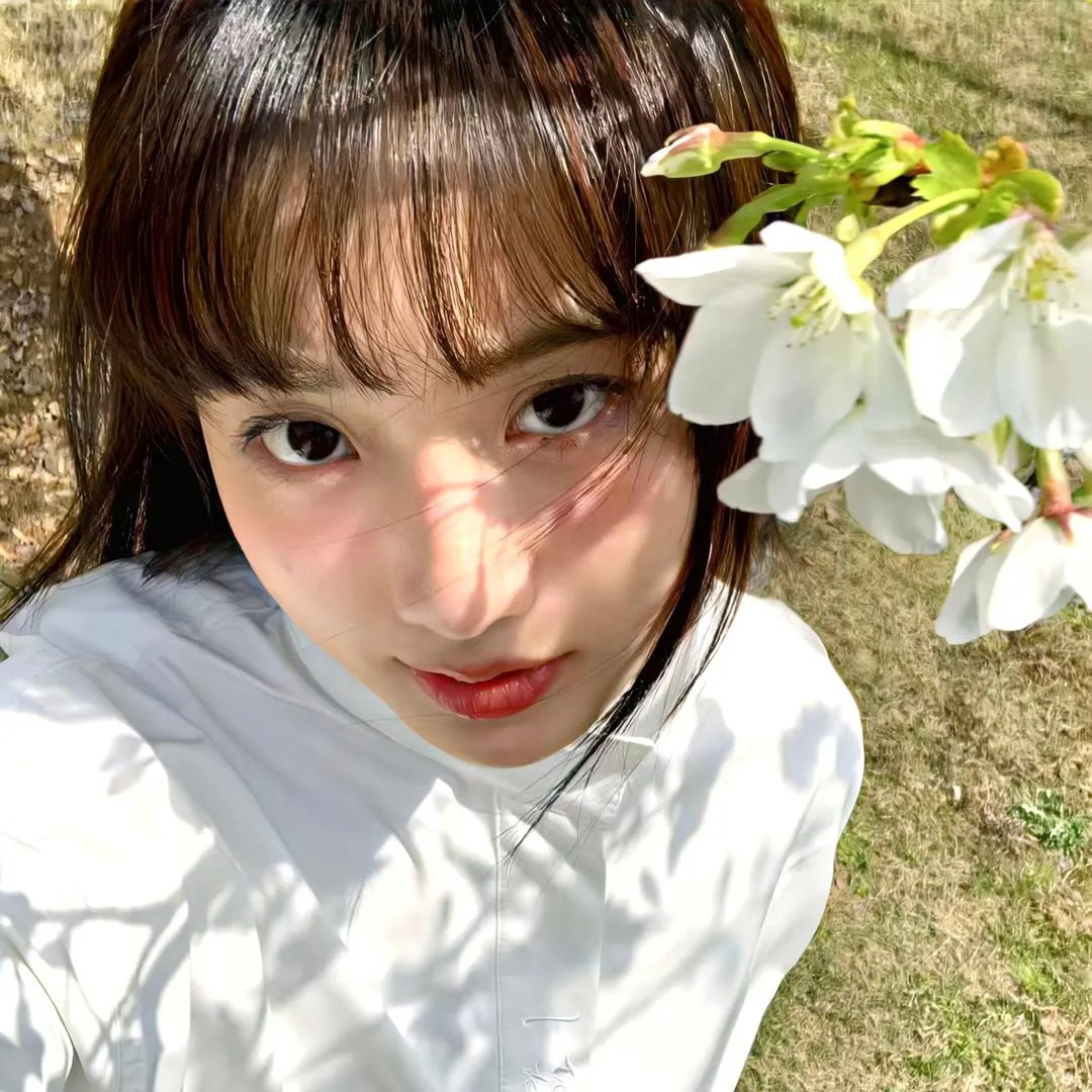 护花忙